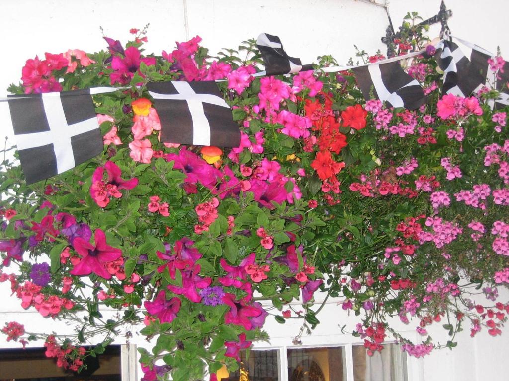 The Edgcumbe Arms Bed & Breakfast Torpoint Eksteriør bilde